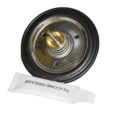 Worcester Diaphragm Kit 24 & 28 Cdi     87161405530