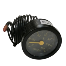 Riello Temperature Guage R100465 Worc 87161099700