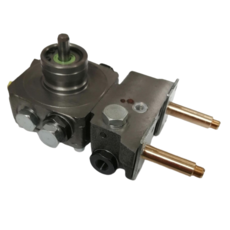 Riello Pump R40 20032002 3007343  87161165690