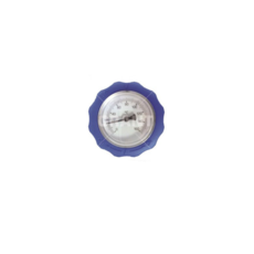 Grant Flow Valve Assy Blue 255154E And East/West Pump