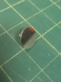 Aga Chrome Screw Cover A2119 Ag4M210228 Button 5/16"