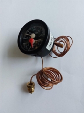 Grant Temperature & Pressure Gauge Vbs09