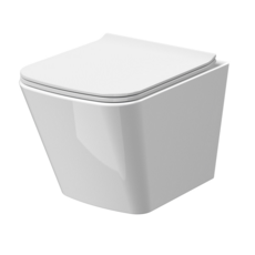 Ava Rimless Wall Hung Pan & SC Seat