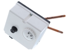 Worcester Dual Thermostat 87161134110