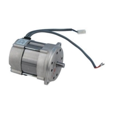 Riello Motor R40 Gs20 Gs20D 3008972 87161124040