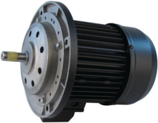 Riello Motor 3003427 87161105680
