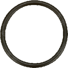 Vaillant O-Ring 982310