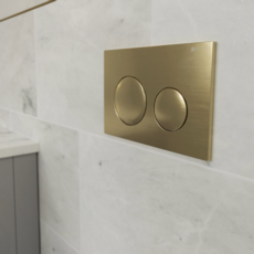 Viva Sanitary Skylo Dual Flush Plate - Brushed Brass