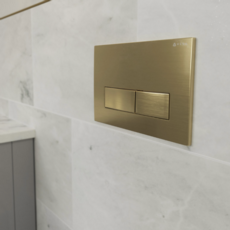 Viva Sanitary Skylo Dual Flush Plate - Brushed Brass